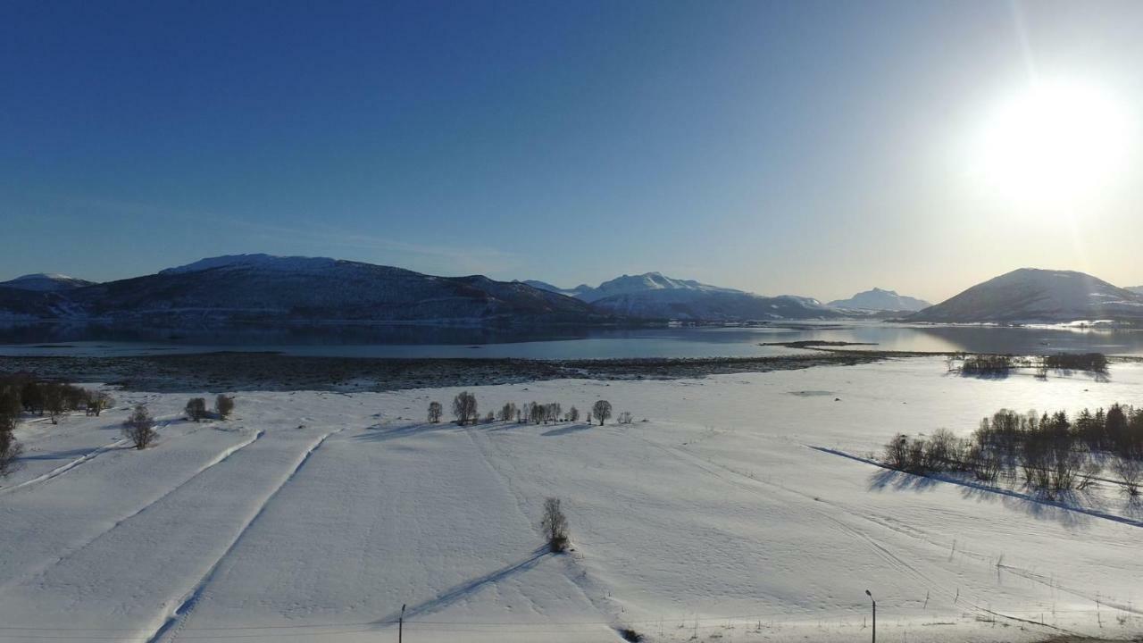 1 Room In The Yellow House, Close To Airport & Lofoten Evenskjer Екстер'єр фото