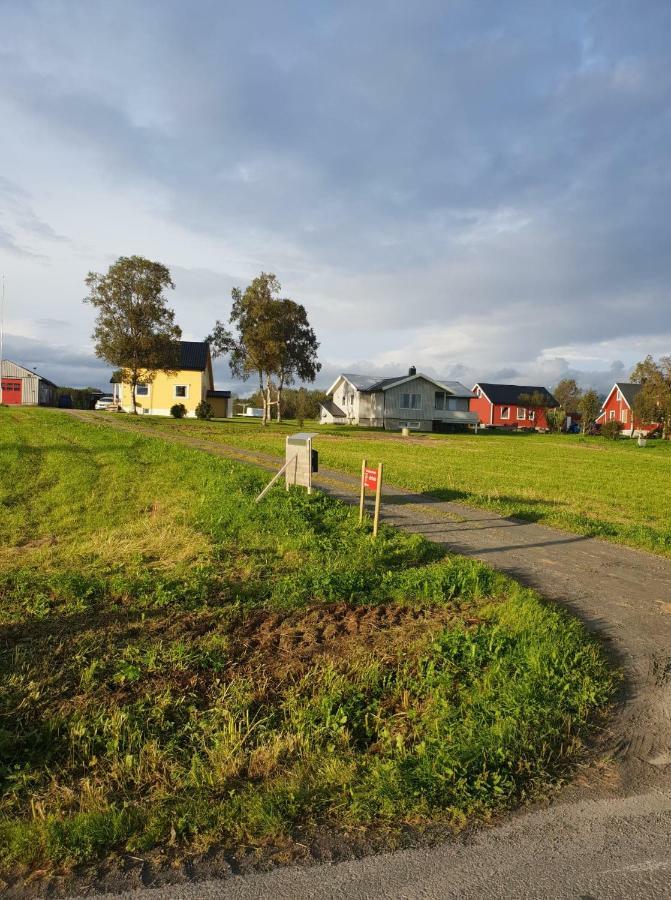 1 Room In The Yellow House, Close To Airport & Lofoten Evenskjer Екстер'єр фото